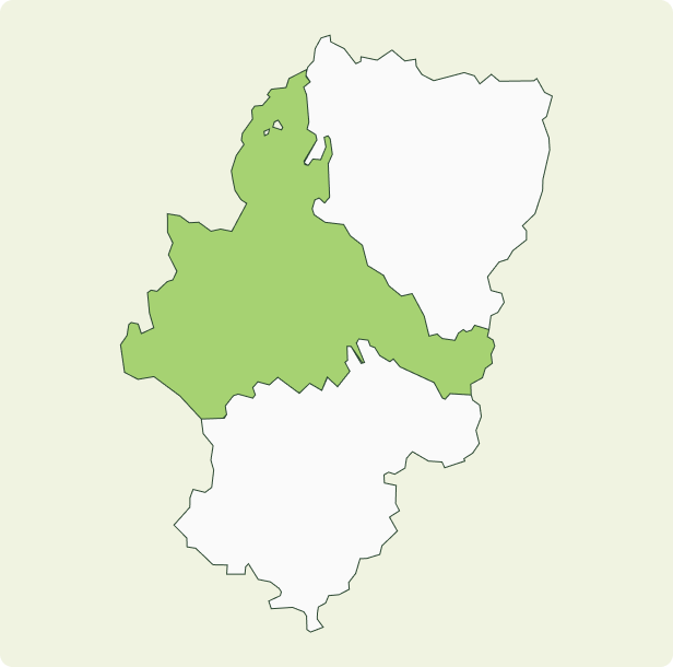 Mapa de Aragón con la provincia de Zaragoza destacada, zona de actuación de Vatios Verdes