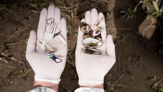 Qué son los microplásticos y cómo afectan a nuestra salud