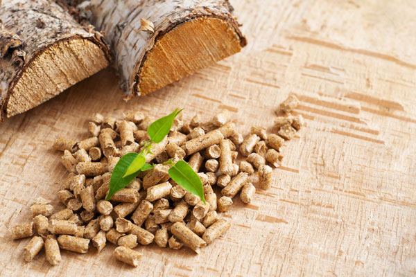 Pellets, el combustible de las calderas de biomasa PELLETS ZARAGOZA